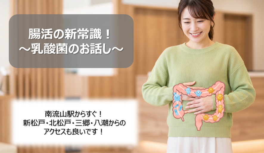 南流山駅からすぐ。新松戸・北松戸・三郷・八潮からのアクセスも良いです。
腸活の新常識。乳酸菌のお話し
